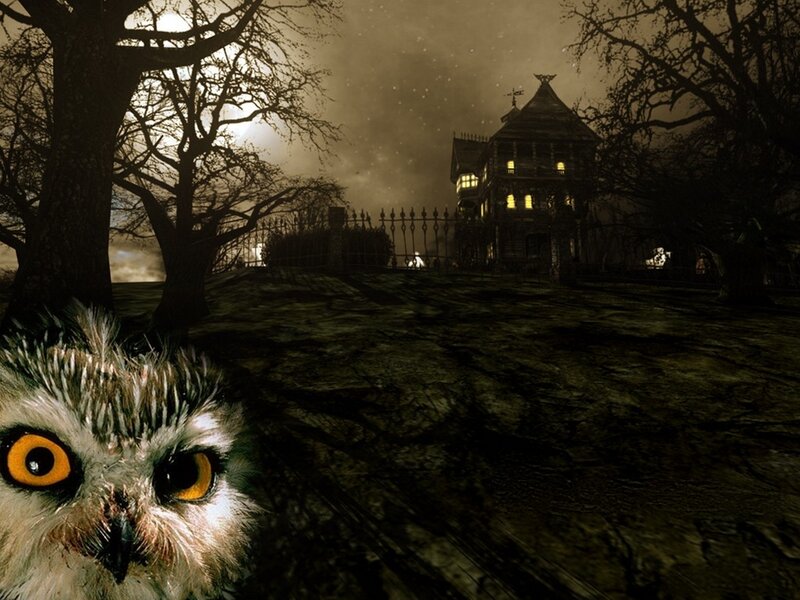 Owl in front of haunted house