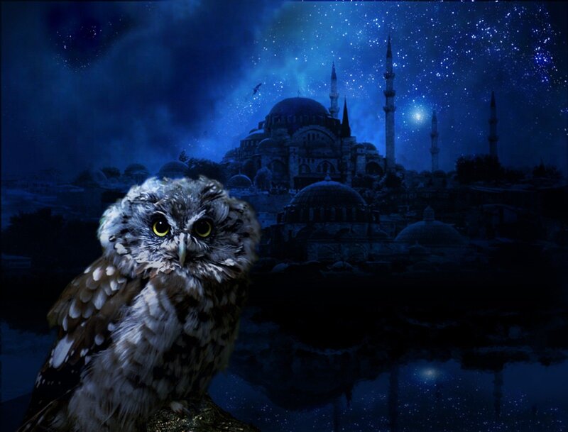 Owl in Front of Mosque — Blue