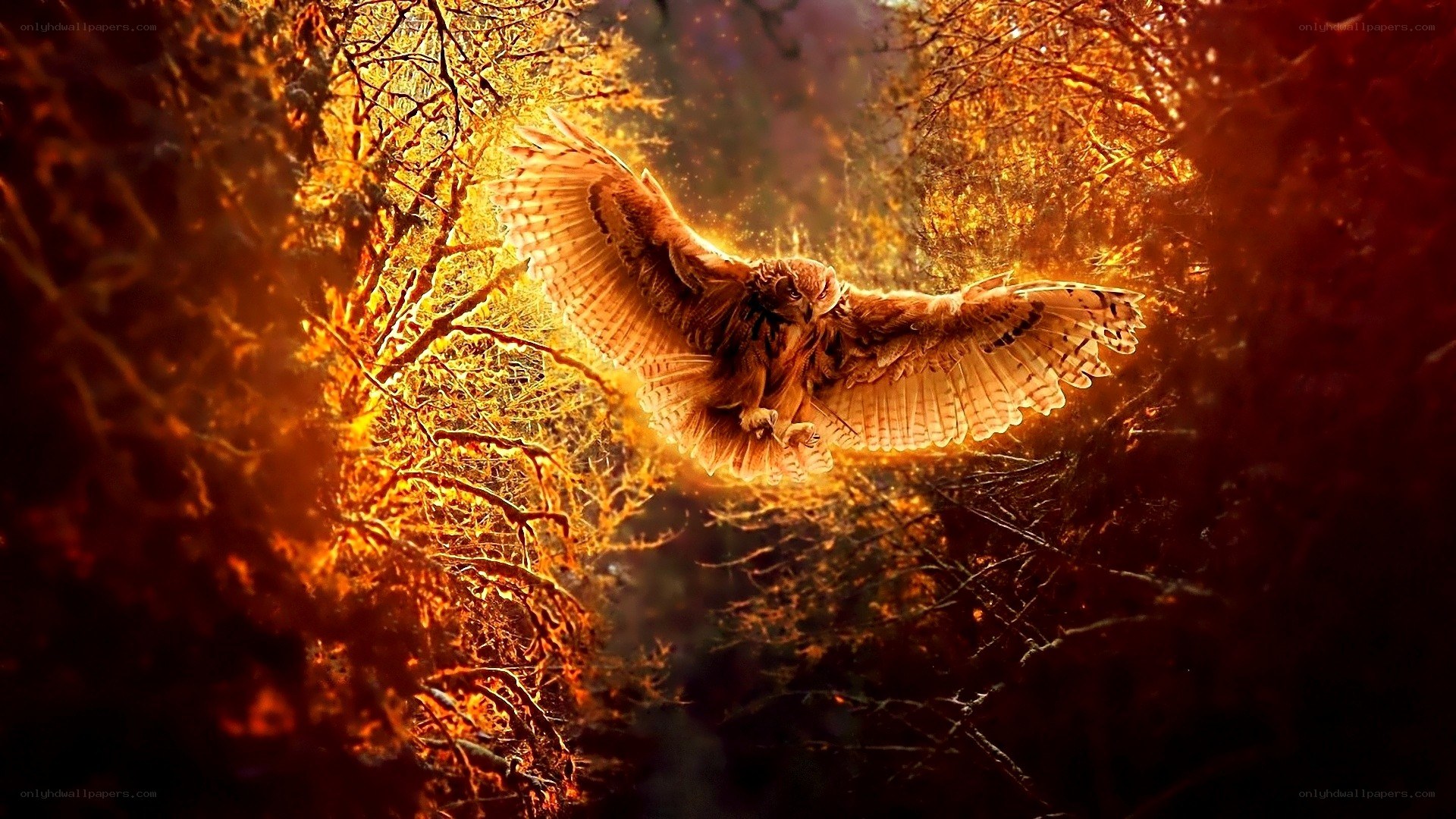 Owl in golden forest