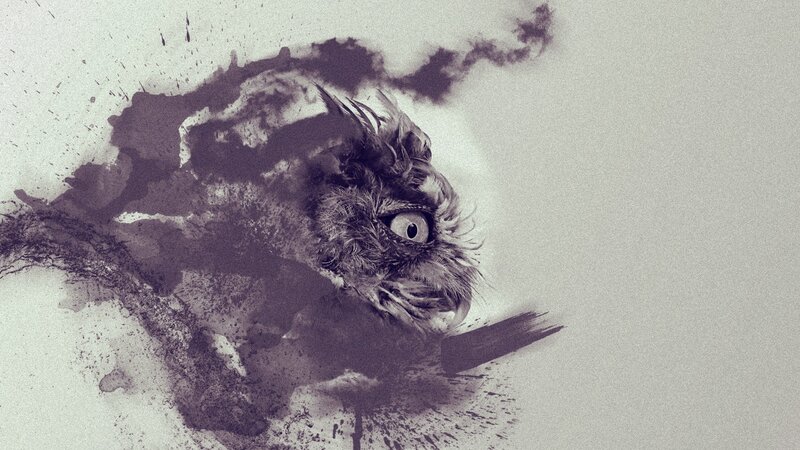 owl in ink splatter