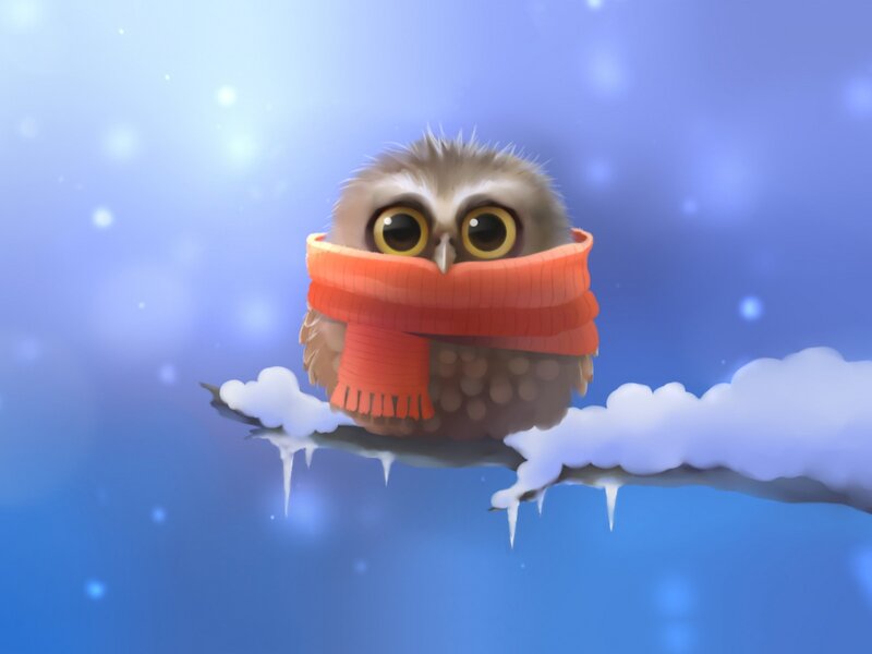 Owl in Scarf on Branch — Blue, Calm