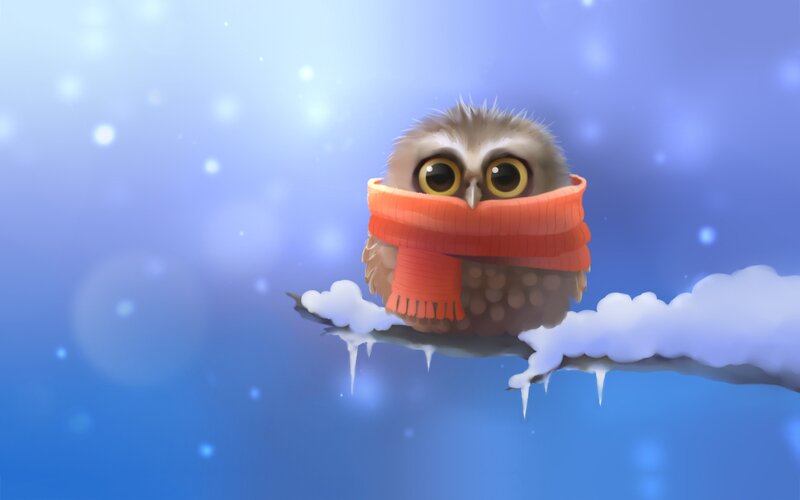Owl in Scarf on Branch — Blue