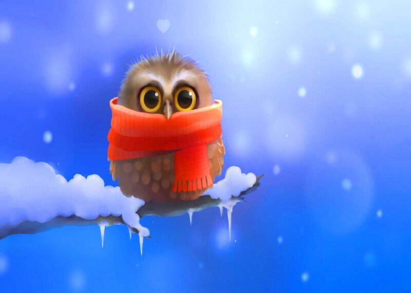 Owl in Scarf