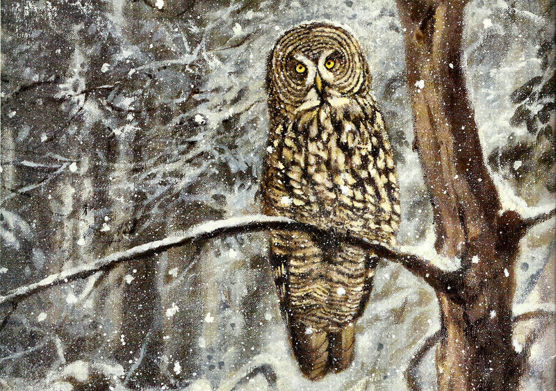 Owl in Snowy Forest