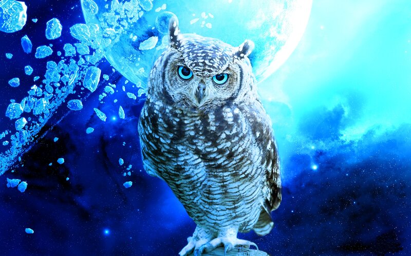 Owl in Space — Blue, Dramatic