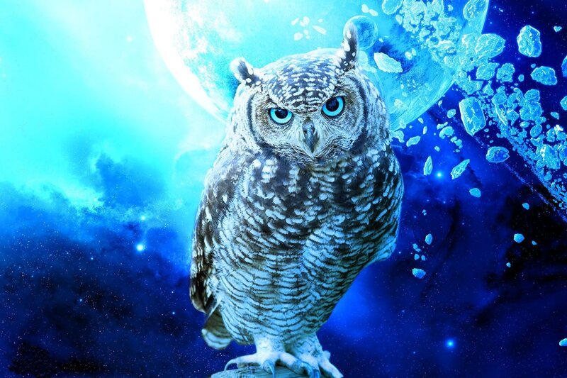 Owl in Space — Blue
