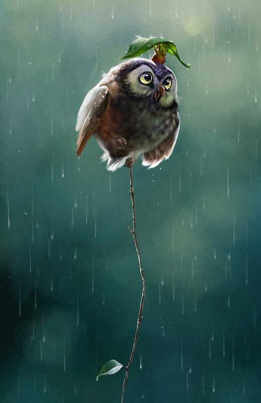 Owl in the rain with leaf umbrella