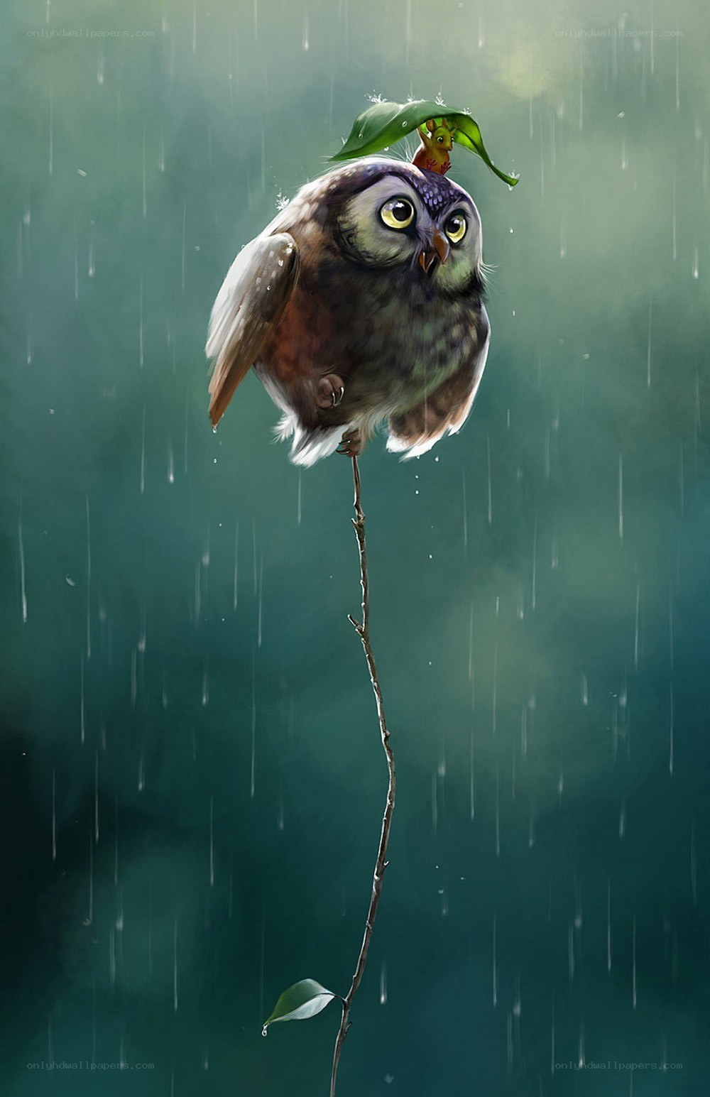 Owl in the rain with leaf umbrella
