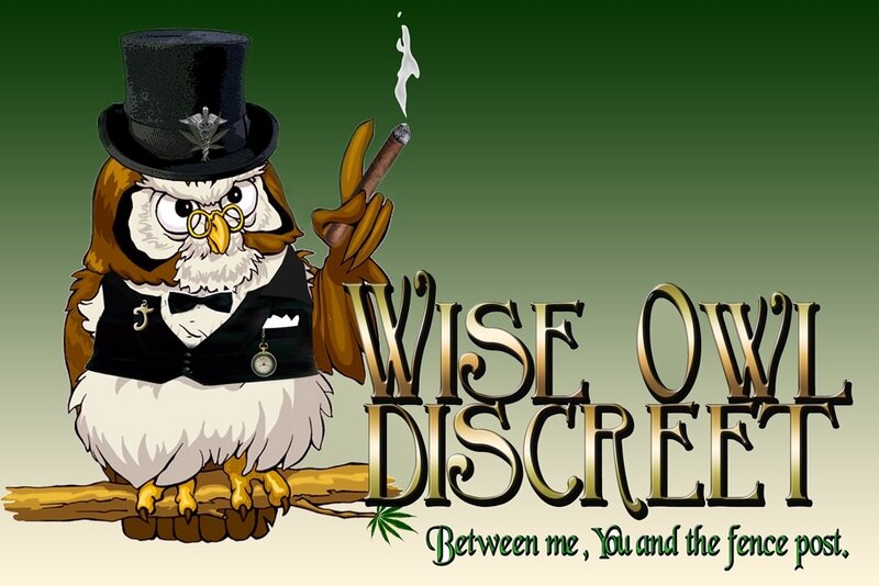 Owl in Top Hat