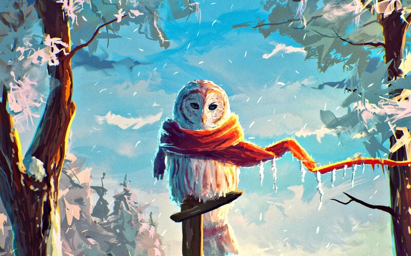 Owl in Winter Scarf