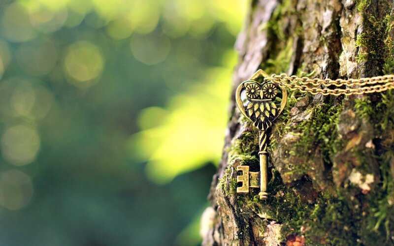 Owl Key Pendant