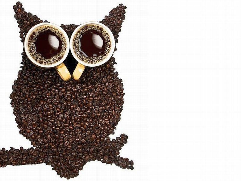Owl Made of Coffee Beans