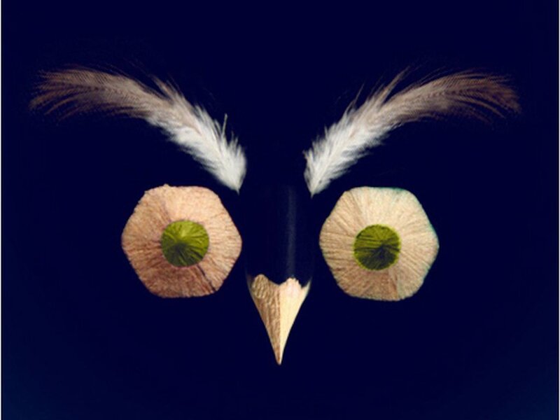 Owl Made of Pencils