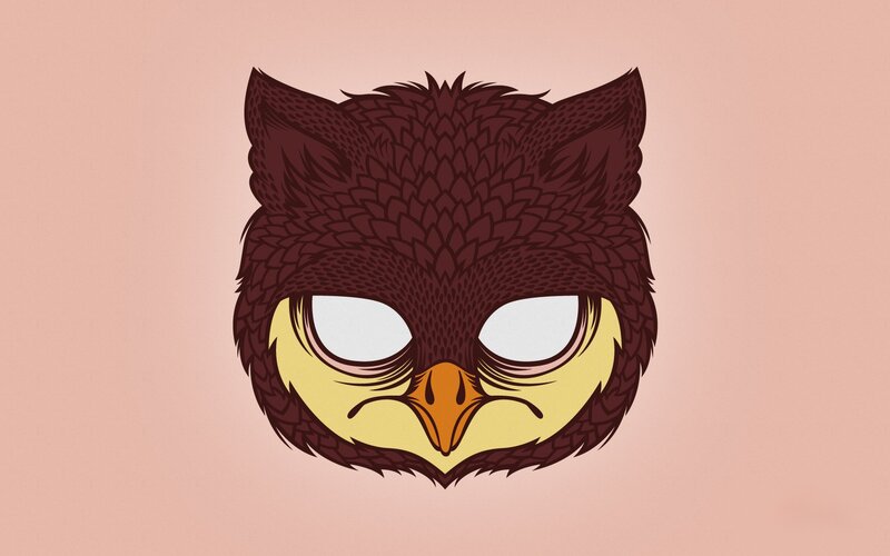 owl mask illustration