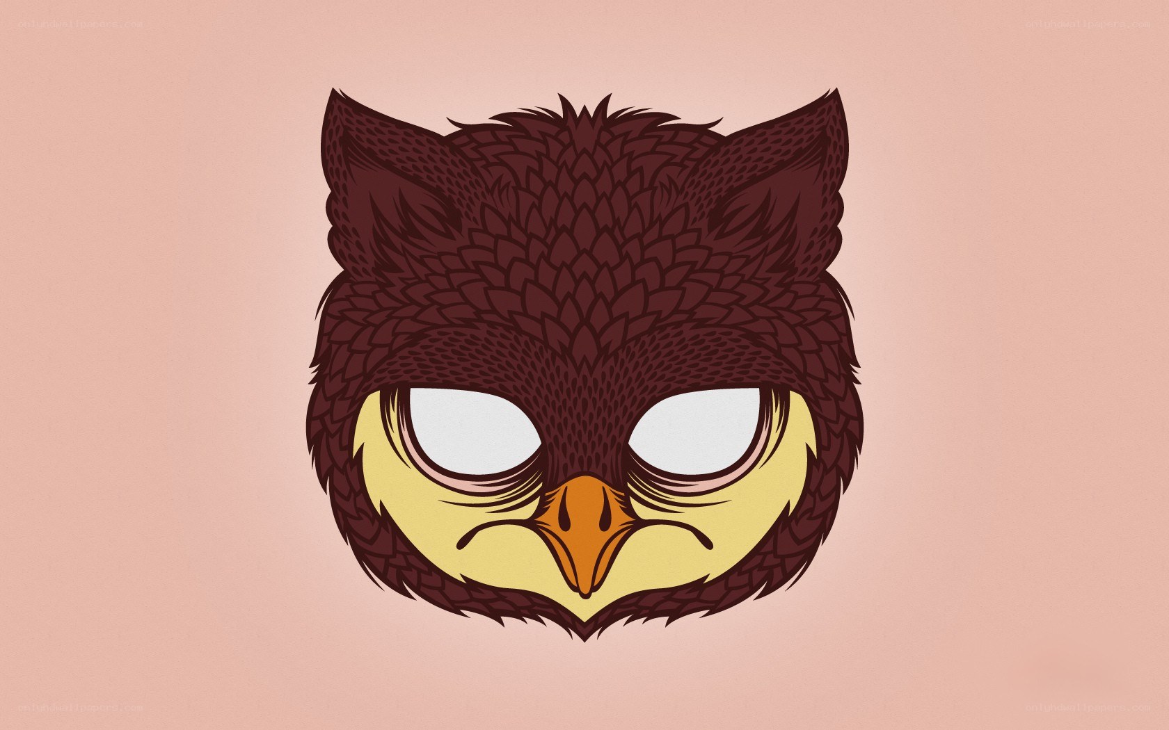 owl mask illustration