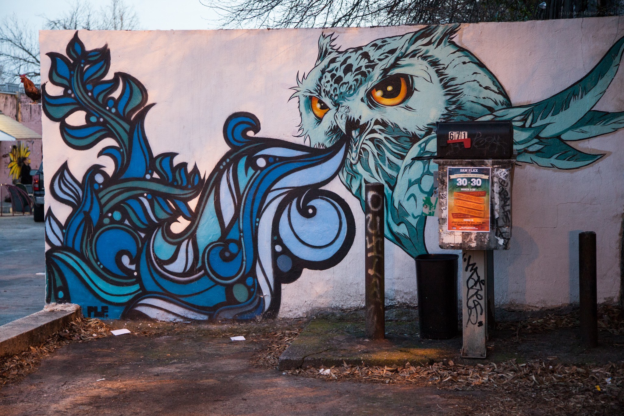 Owl mural with blue swirls