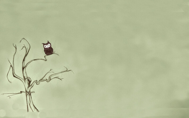 Owl on a bare tree