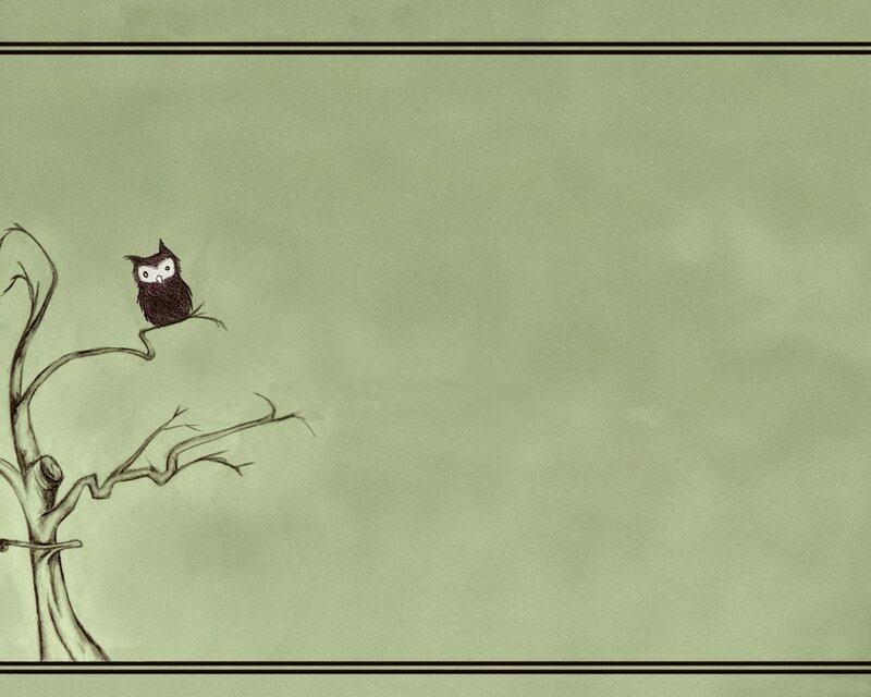 Owl on a bare tree