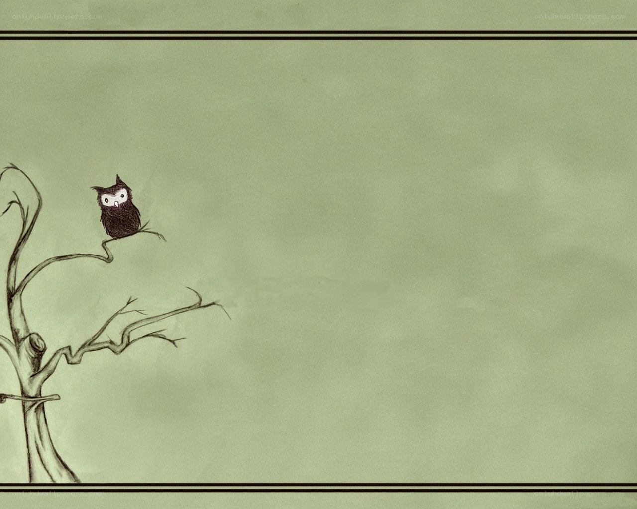Owl on a bare tree
