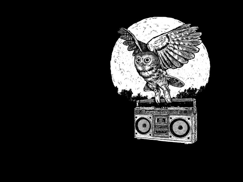 owl on a boombox