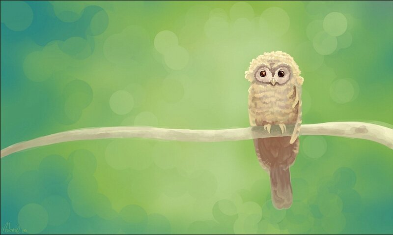 Owl on a branch