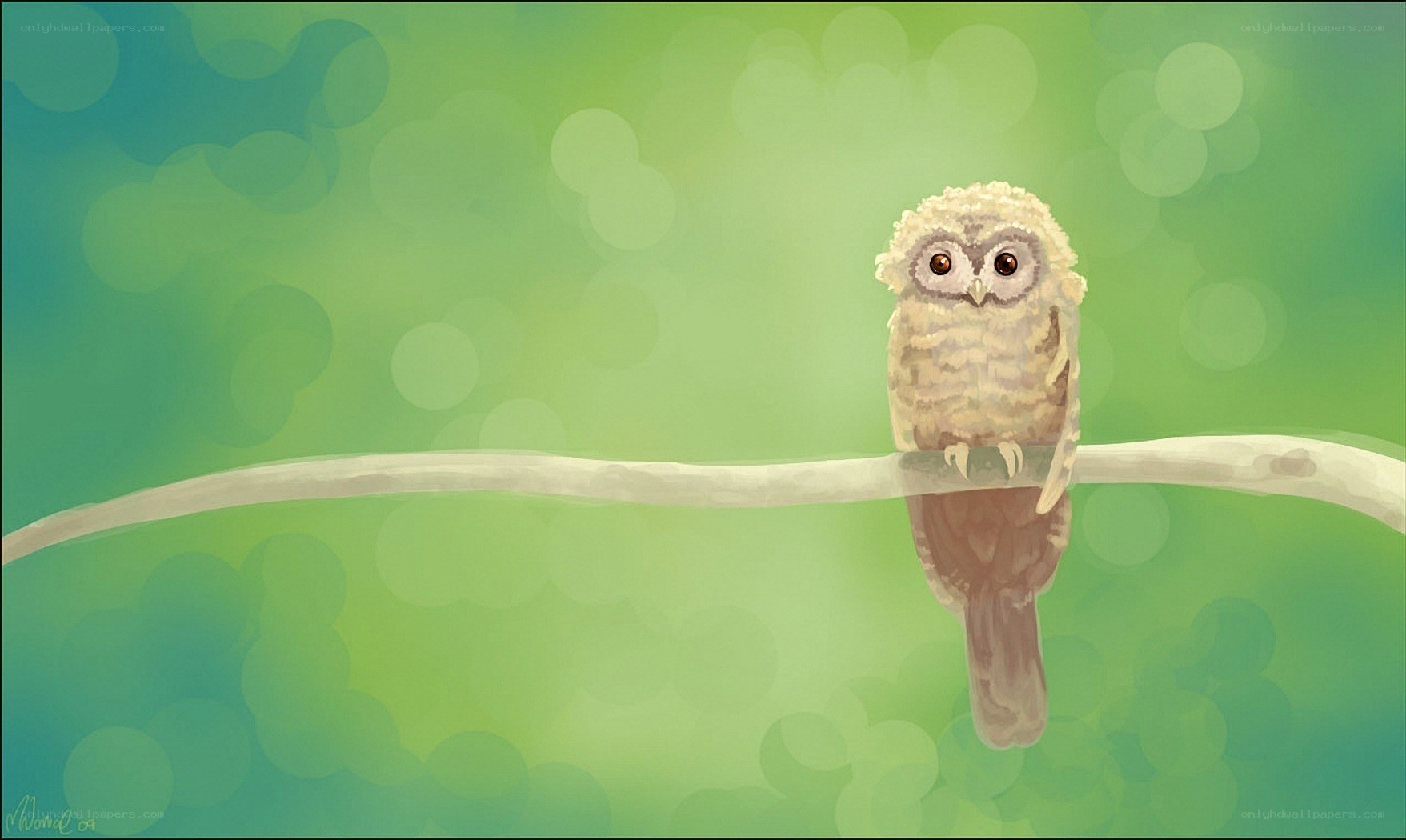 Owl on a branch