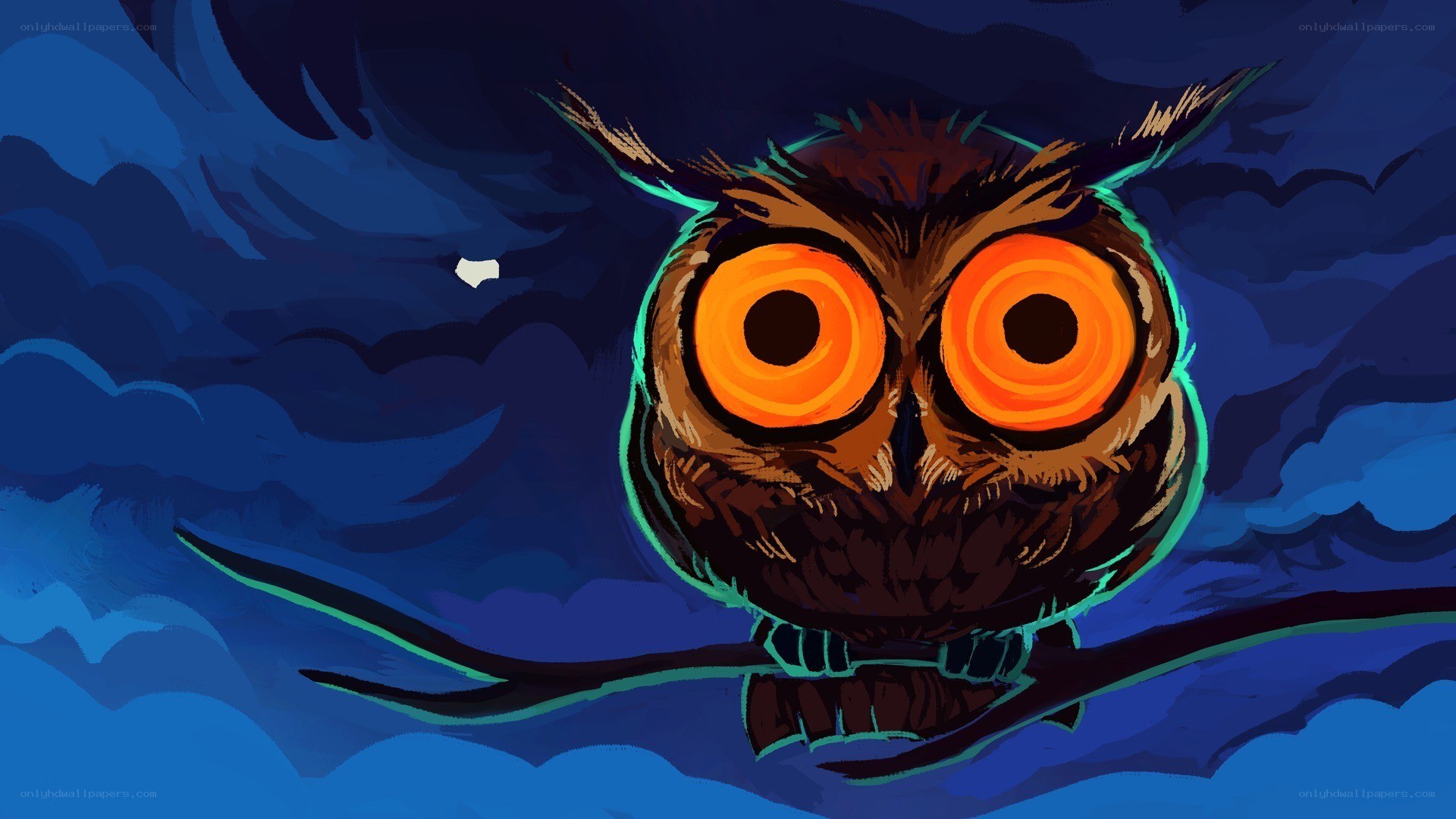 owl on a branch at night