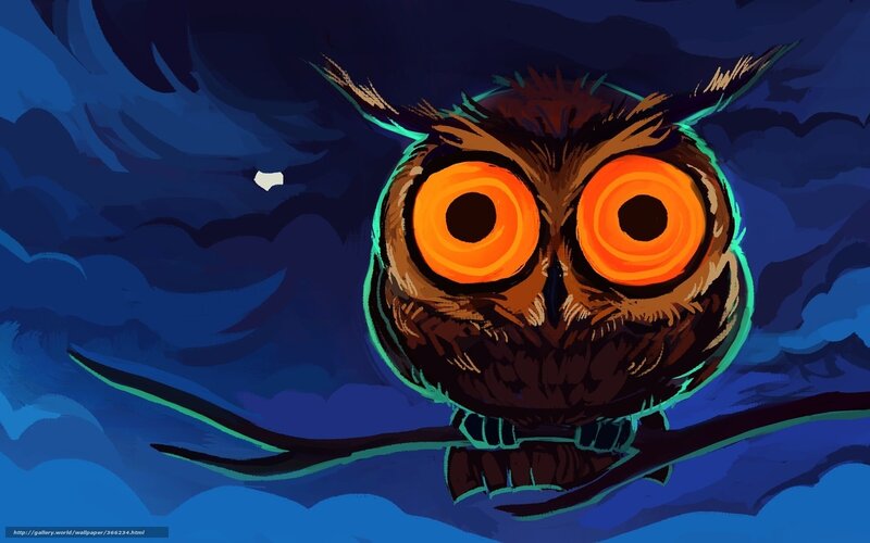 Owl on a branch at night