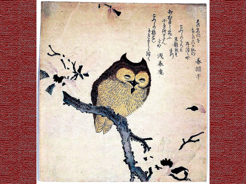 Owl on a Branch — Beige