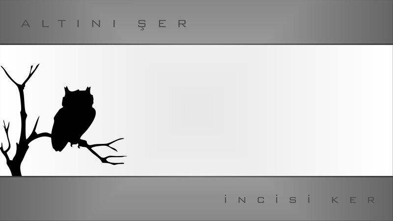 Owl on a Branch — Black, Calm, Minimalist