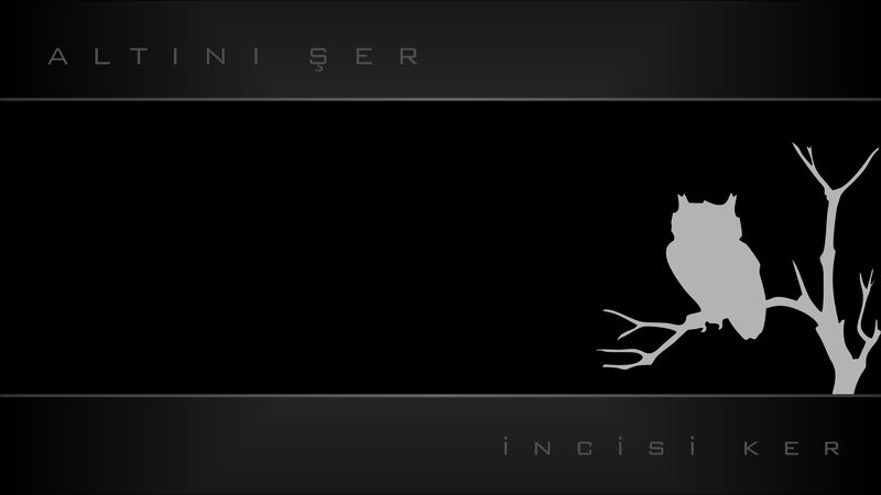 Owl on a Branch — Black, Dark, Night