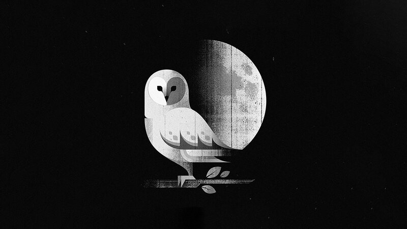 Owl on a Branch — Black, Serene