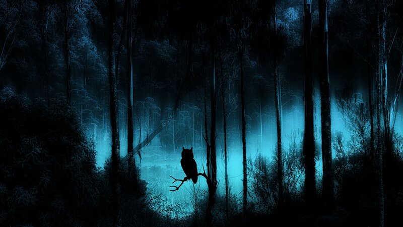 Owl on a Branch — Blue, Dark, Mysterious