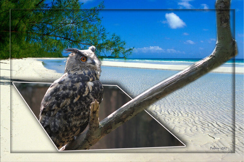Owl on a Branch — Blue, Serene, Afternoon