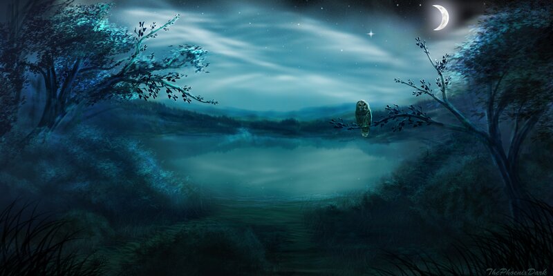 Owl on a Branch — Blue, Serene, Night, Digital Art, Moon