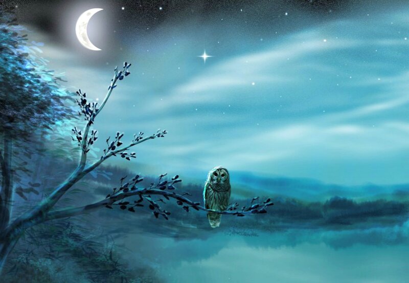 Owl on a Branch — Blue, Serene, Night, Digital Art