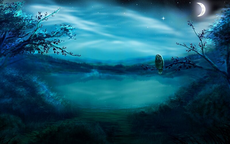 Owl on a Branch — Blue, Serene, Night