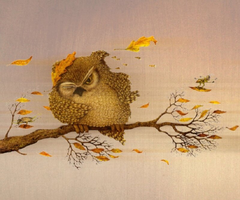 Owl on a Branch — Brown, Calm