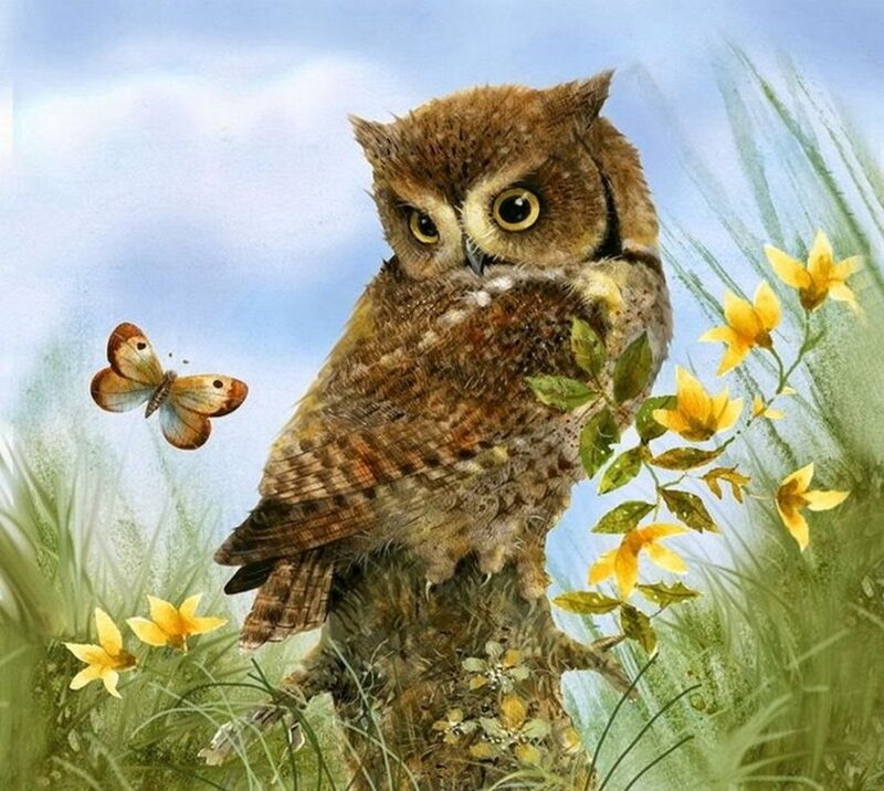 Owl on a Branch — Brown, Serene, Morning