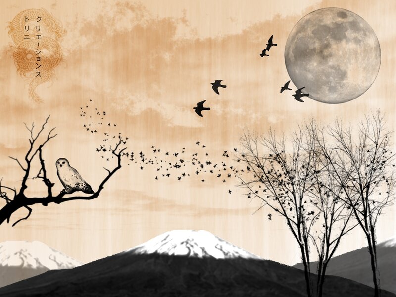 Owl on a Branch — Brown, Serene