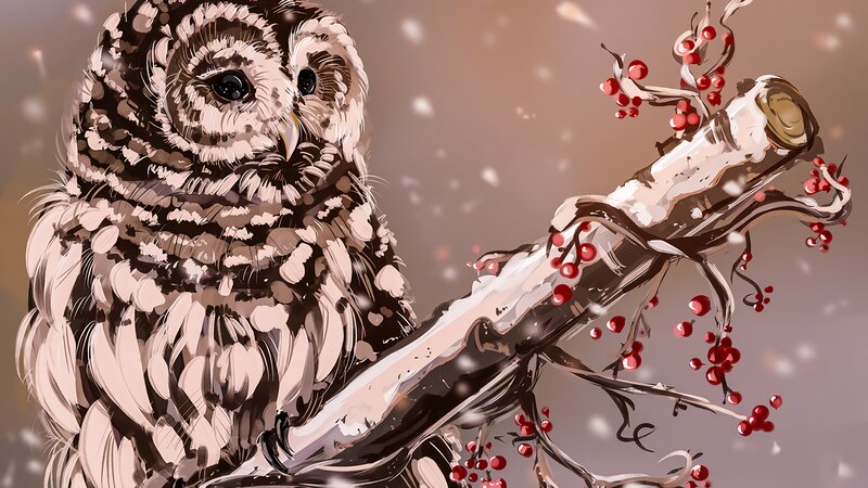 Owl on a Branch — Brown, Serene, Winter