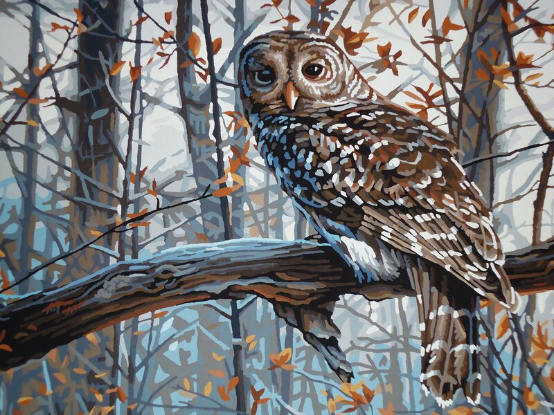 Owl on a Branch — Brown