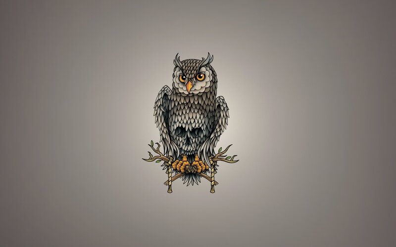 Owl on a Branch — Gray, Neutral