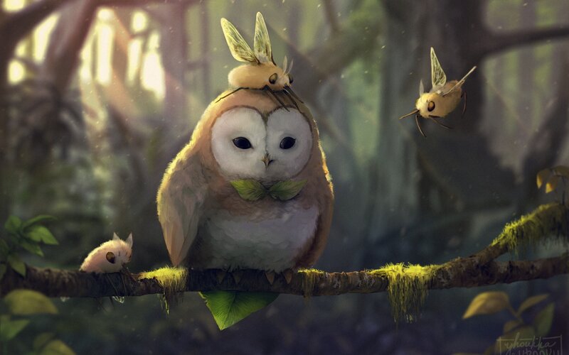 Owl on a Branch — Green, Serene, Morning