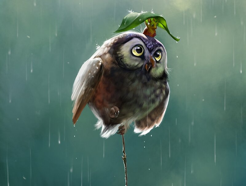 Owl on a Branch — Green