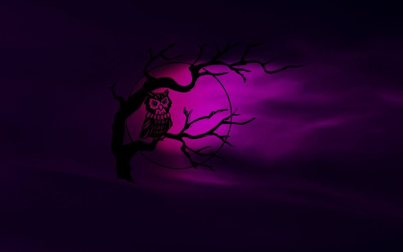 Owl on a Branch — Purple, Mysterious, Night