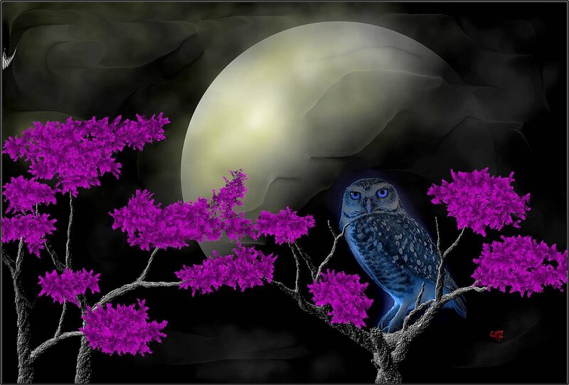 Owl on a Branch — Purple, Mysterious