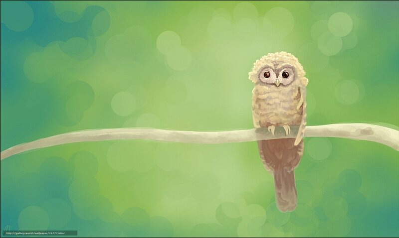 Owl on a branch