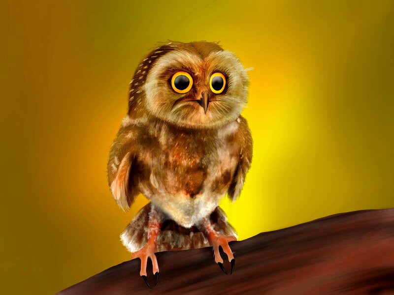 Owl on a Branch — Yellow
