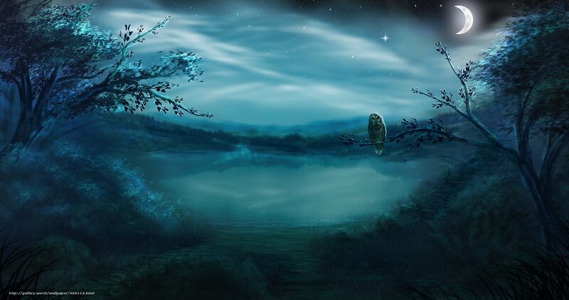 Owl on a moonlit lake